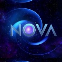 Коллекция линолеума NOVA